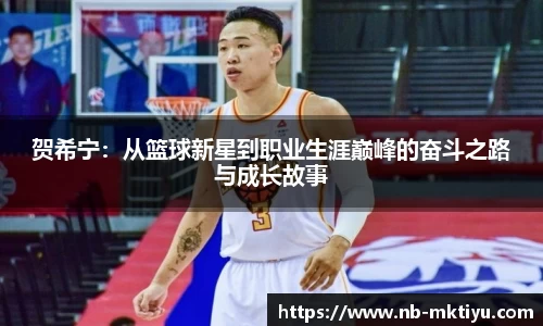 贺希宁：从篮球新星到职业生涯巅峰的奋斗之路与成长故事